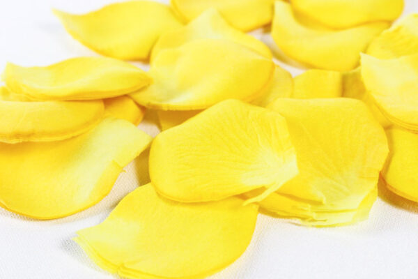 Artificial Flower Petals - Yellow - Image 2