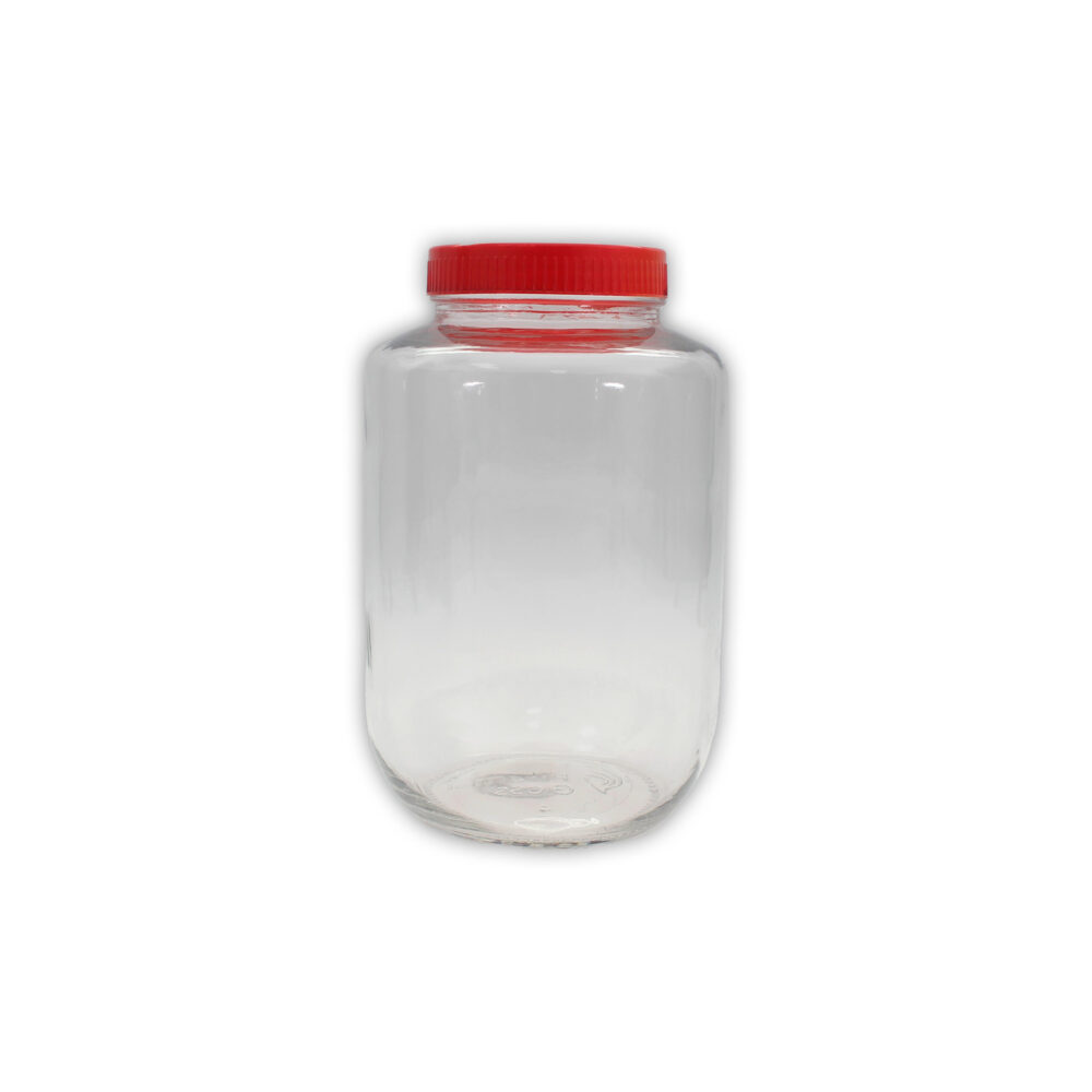 Glass Jar Bottle With Plastic Lid - Small - Special Promotion
