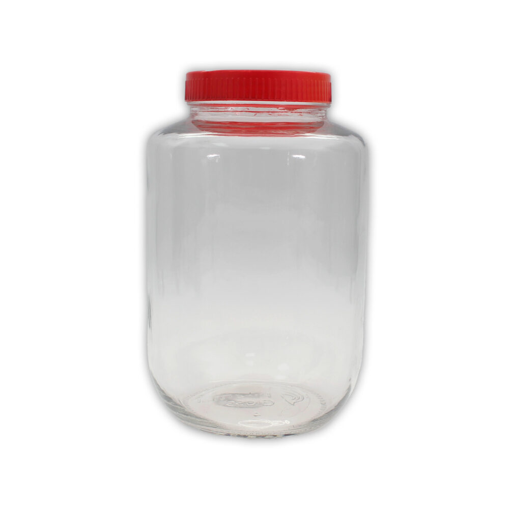 Glass Jar Bottle With Plastic Lid - Large - Special Promotion