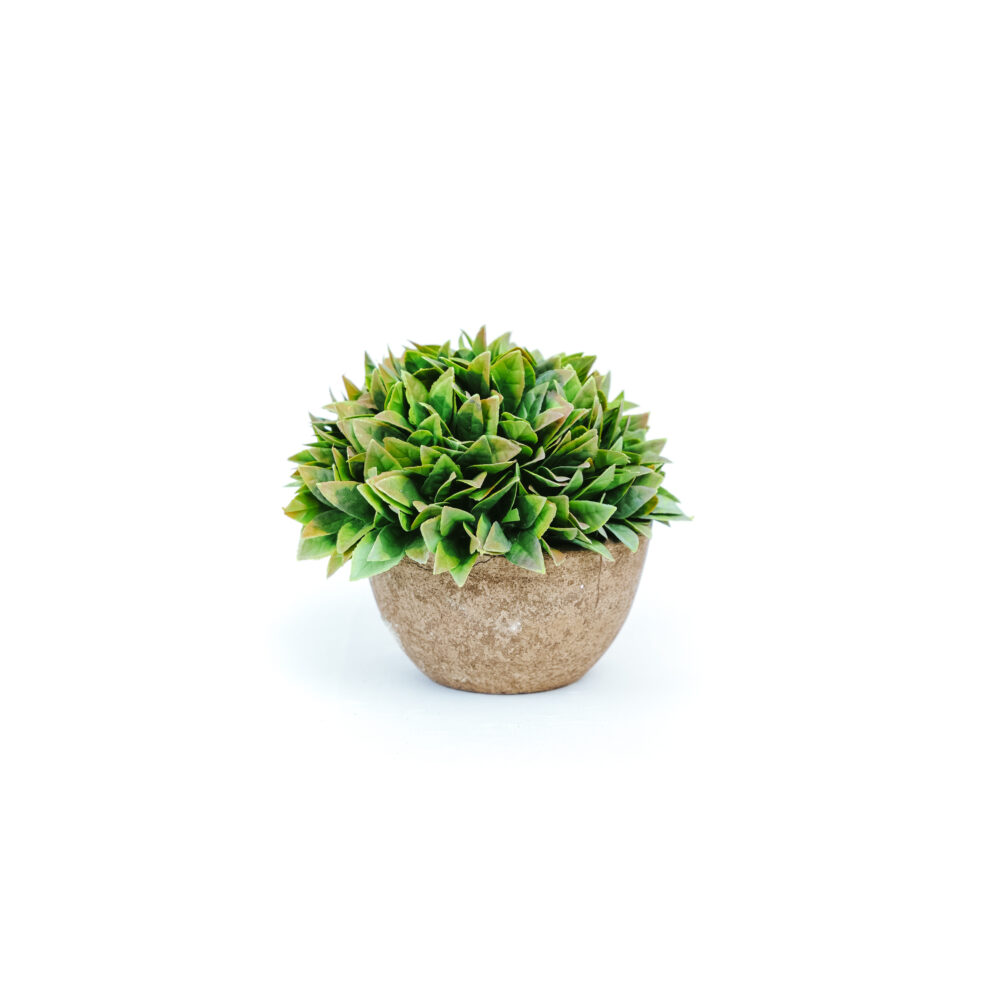 Artificial Leaf Bunch With Cement Pot
