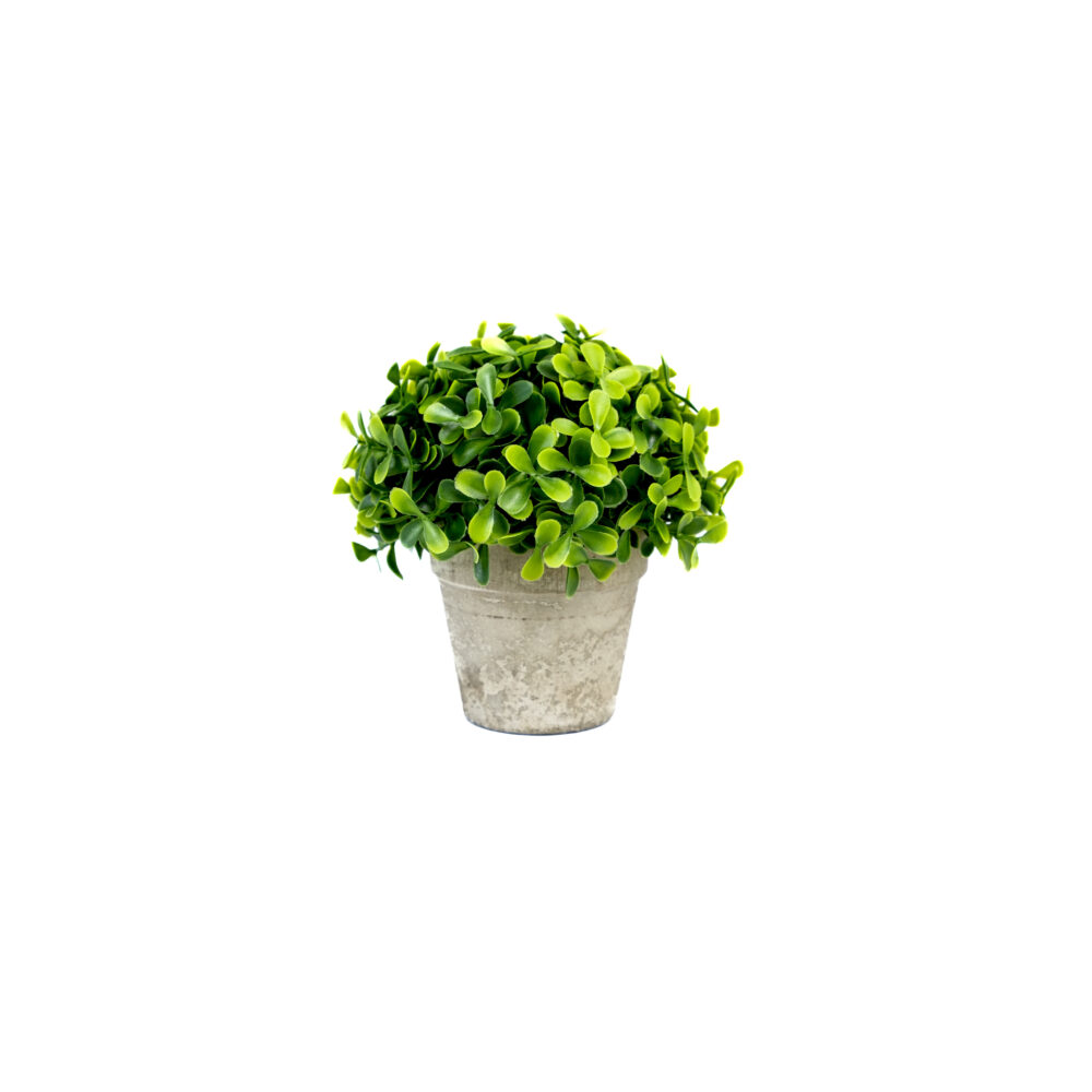 Artificial Leaf Bunch With Cement Pot