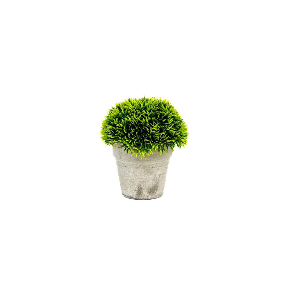 Artificial Grass Bunch With Cement Pot
