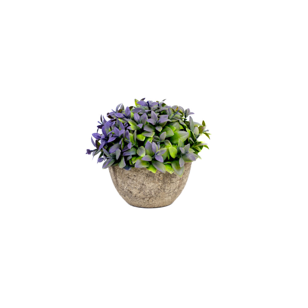 Artificial Leaf Bunch Purple & Green With Cement Pot