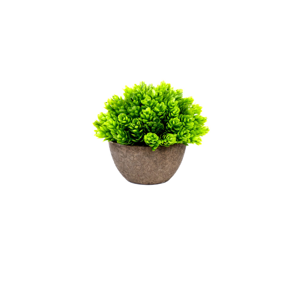 Artificial Leaf Bunch With Cement Pot
