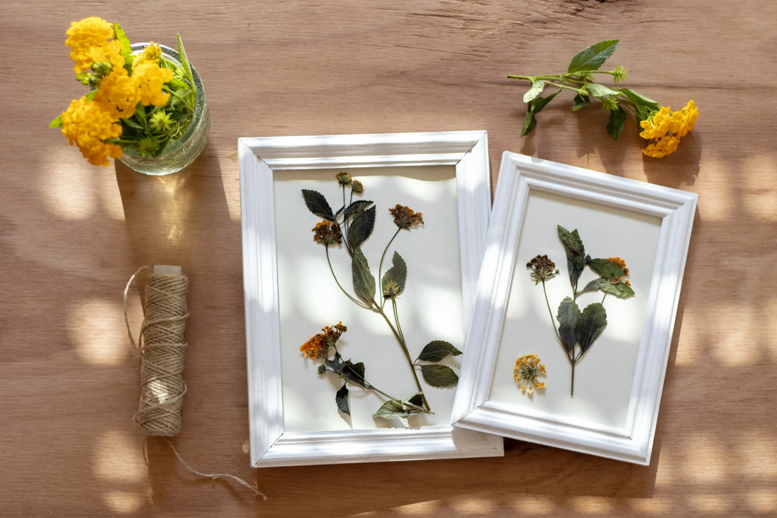 view-flower-press-technique-still-life