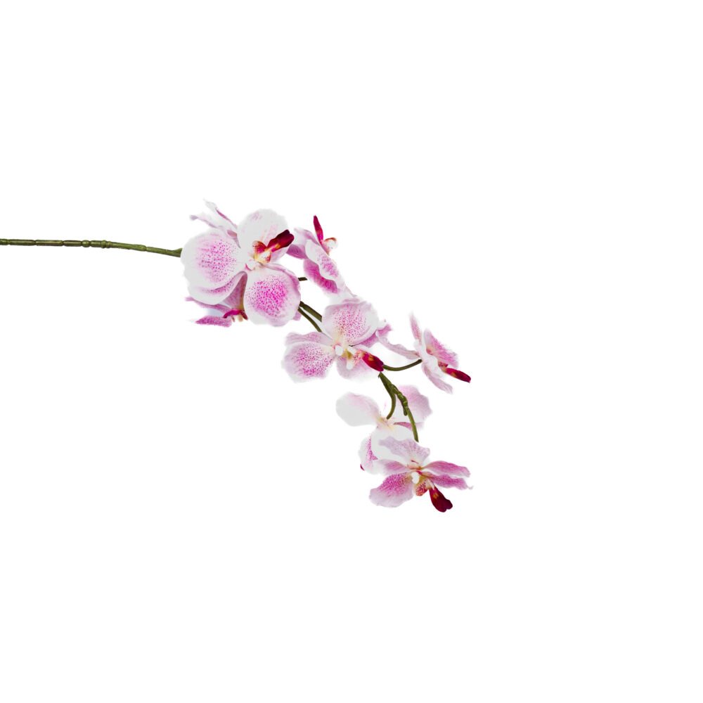 Ethereal Orchid Floral Plant - Blush Pink
