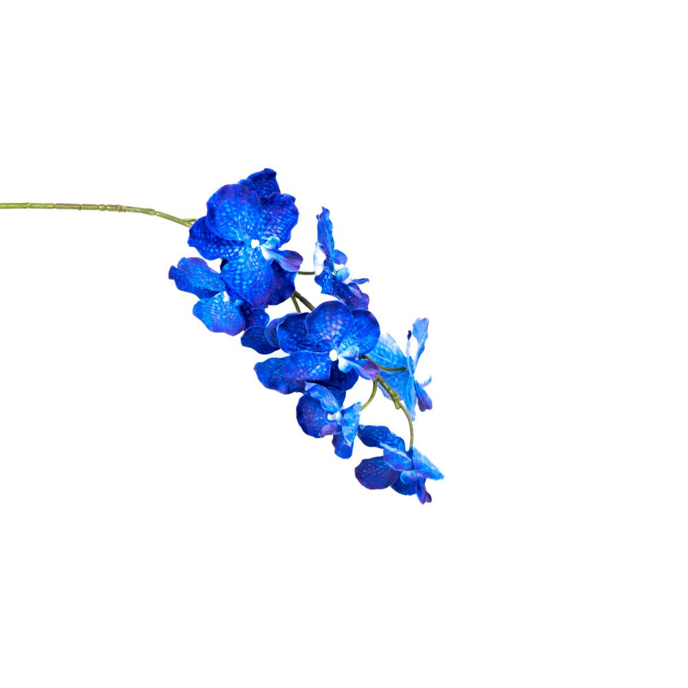 Ethereal Orchid Floral Plant - Royal Blue