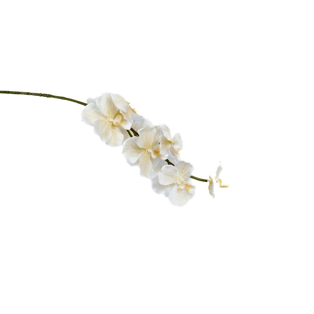 Ethereal Orchid Floral Plant - Off White