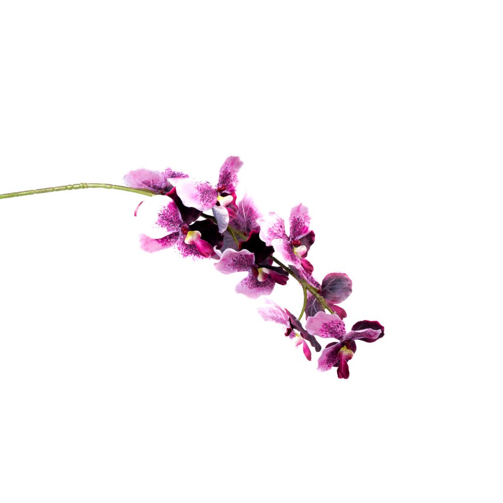Ethereal Orchid Floral Plant - Violet