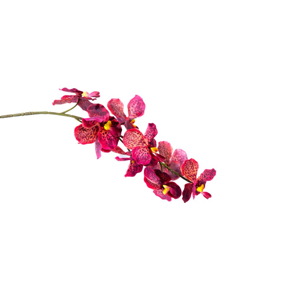 Ethereal Orchid Floral Plant - Burgundy
