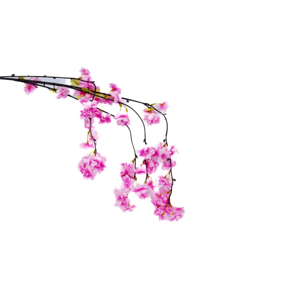 Blossom of Tranquility  Sakura Edition - Pink