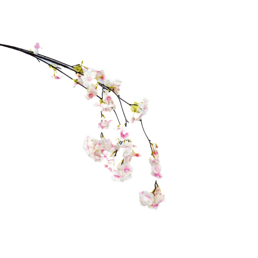 Blossom of Tranquility  Sakura Edition - Blush Pink