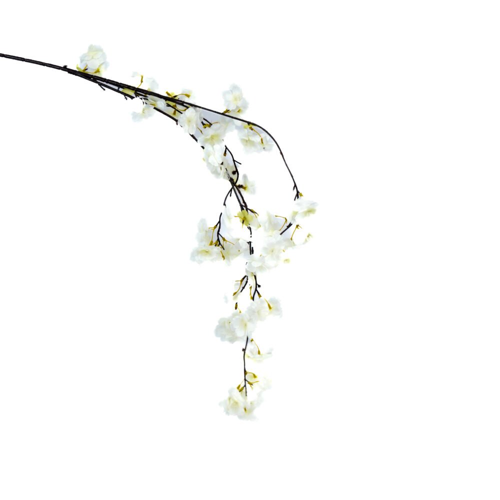 Blossom of Tranquility  Sakura Edition - Pearl White