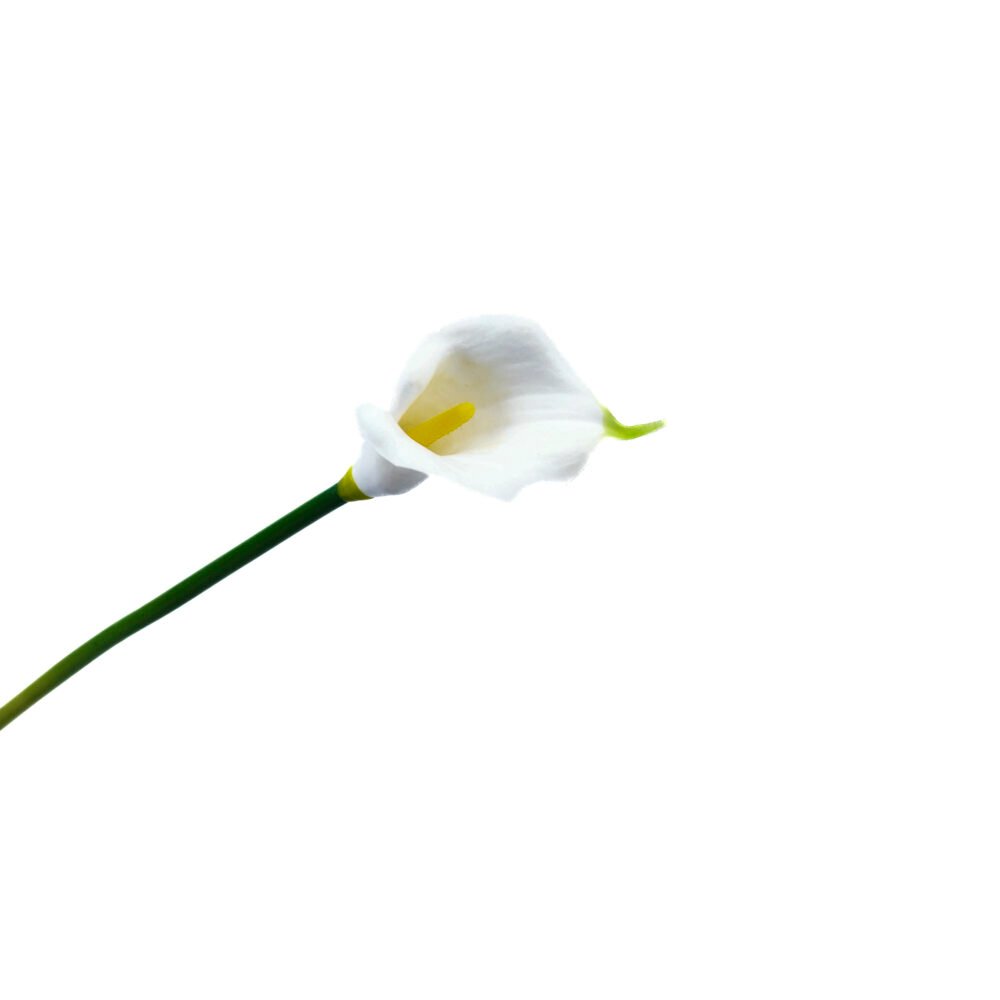 Velora Artificial Anthurium - Pearl White